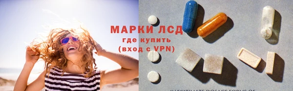 ГАЛЛЮЦИНОГЕННЫЕ ГРИБЫ Белокуриха
