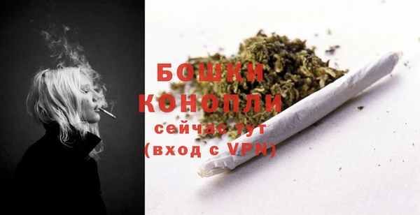 шишки Белоозёрский