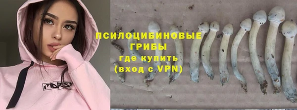 гашик Баксан