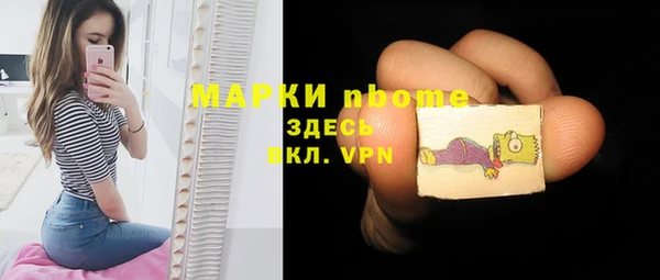 шишки Белоозёрский