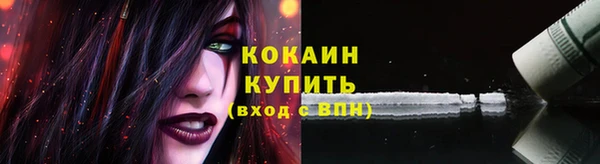 ГАЛЛЮЦИНОГЕННЫЕ ГРИБЫ Белокуриха