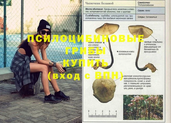 ГАЛЛЮЦИНОГЕННЫЕ ГРИБЫ Белокуриха
