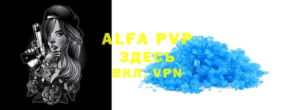 шишки Белоозёрский