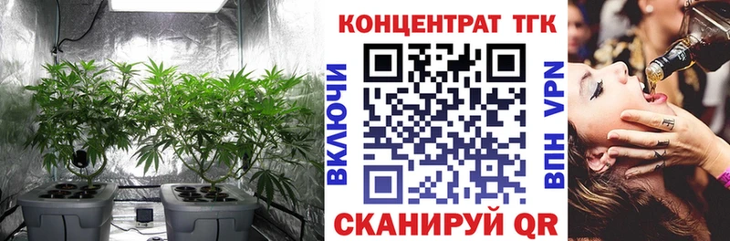как найти закладки Гагарин блэк спрут онион ТГК Wax