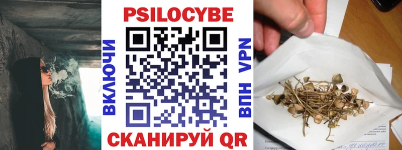 сколько стоит  Гагарин  Псилоцибиновые грибы Cubensis 