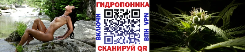 где можно купить   Гагарин  Шишки марихуана Bruce Banner 